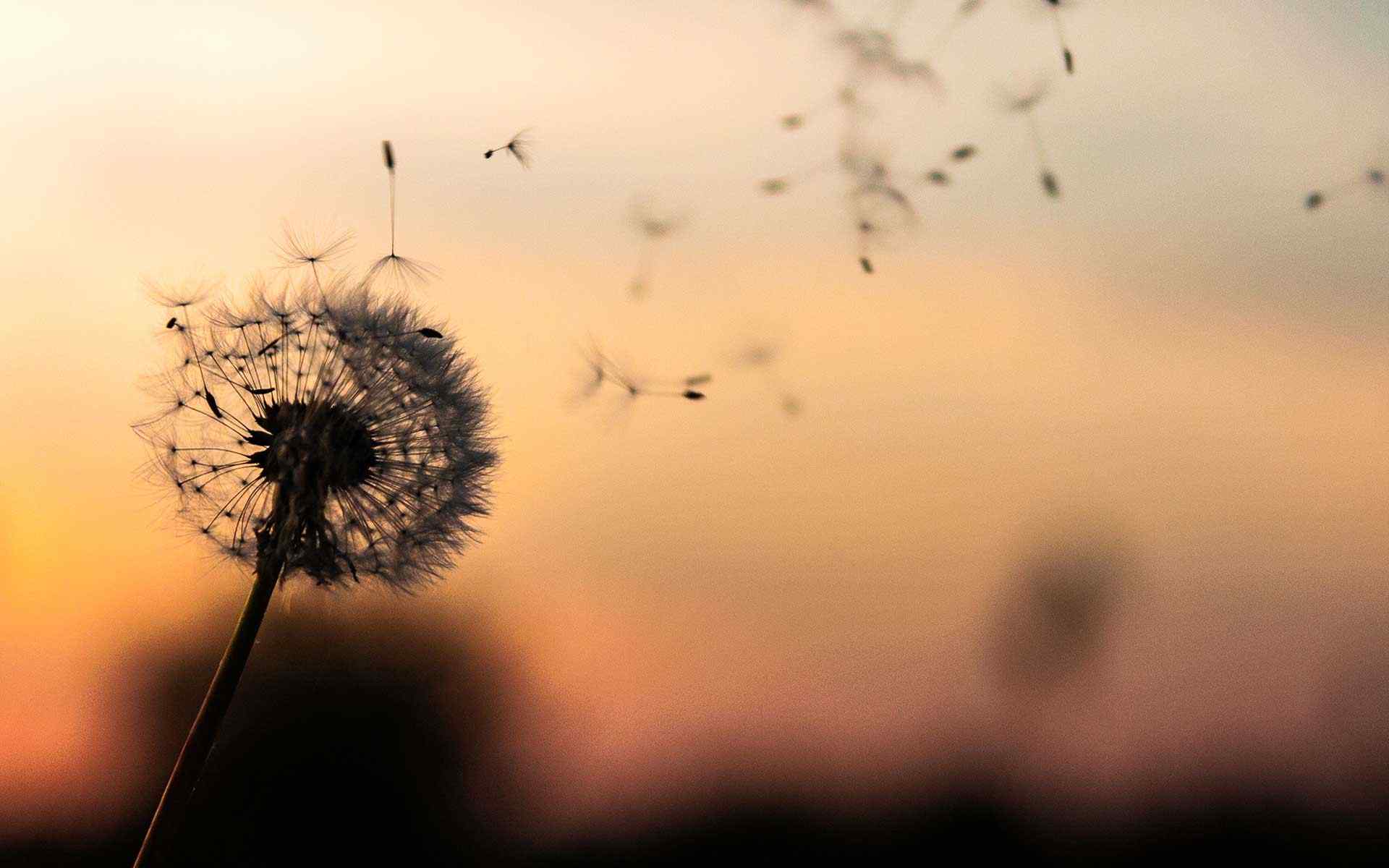 https://cmrobinsonlaw.com/wp-content/uploads/2018/09/post_02.jpg